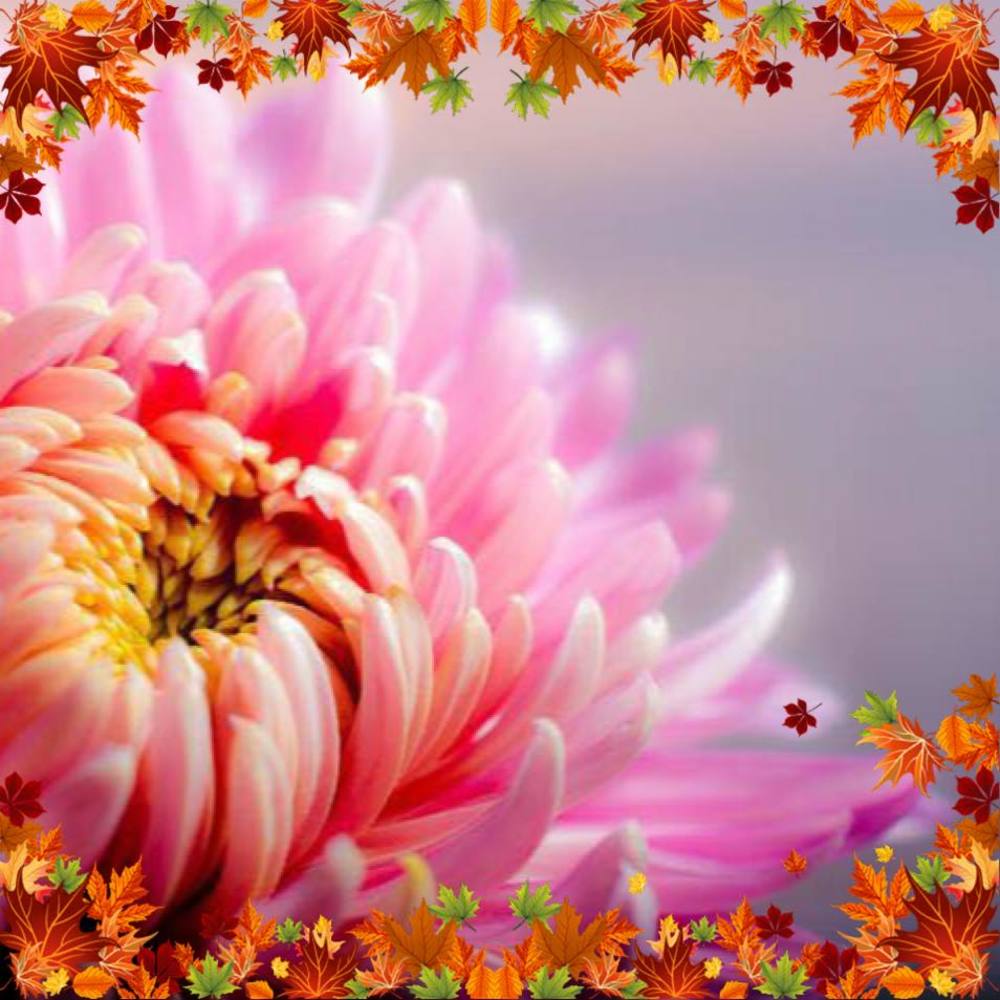 Meet your Posher, Glenda